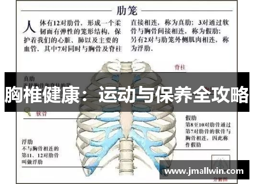 胸椎健康：运动与保养全攻略